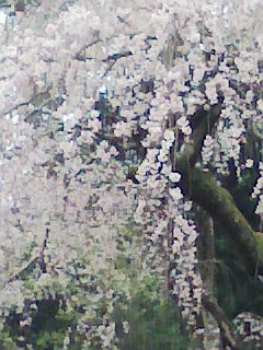 070401_144255.jpg